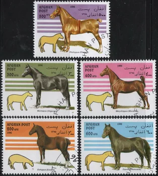 5 бр./компл. пощенски марки Afh 1996 г. на Пощенски марки с образа на коне за колекционери