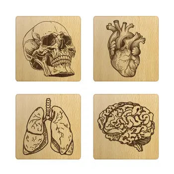 Комплект от 4 Дървени Каботажните за Анатомията на Човека С Медицинска Лазерно Гравиран, Бар Подложки За Бира, Кухненски Интериор, Забавен Подарък за нов дом за д-Р